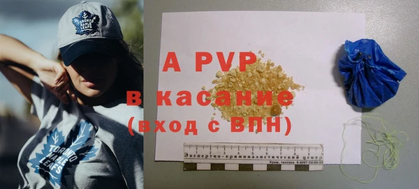 твердый Новозыбков