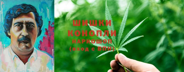твердый Новозыбков