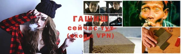 твердый Новозыбков