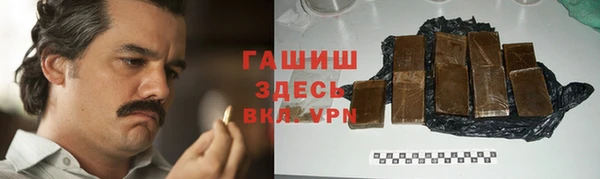 твердый Новозыбков