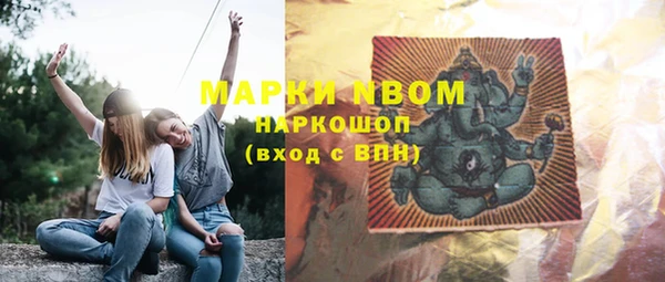 твердый Новозыбков