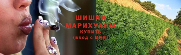 apvp Няндома