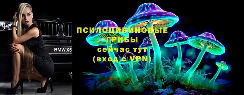 ОМГ ОМГ зеркало  сколько стоит  Никольское  Псилоцибиновые грибы MAGIC MUSHROOMS 